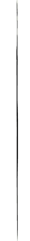 vertical-timeline vertical-timeline