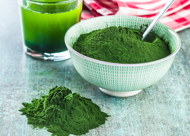 chlorella en poudre