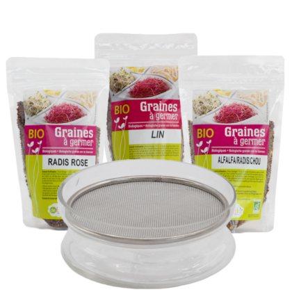 Graines Chicorée Sauvage à Germer Bio 100g - Debardo