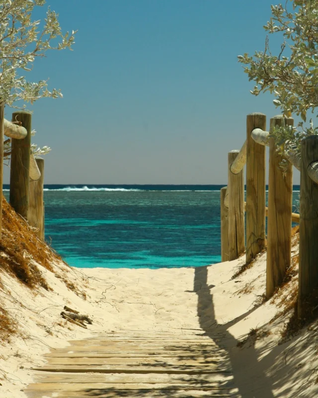 Prochain arrêt : la sérénité 🧘‍♀️🌊

L'été bat son plein, et l’un des meilleurs moyens de faire le vide et de se reconnecter à soi-même (et à la nature par la même occasion), c’est de s’offrir un véritable moment de détente sur la plage. 🌴

Que ce soit pour bronzer, nager, méditer, se reposer, faire du yoga ou encore se baigner, c’est l’endroit rêvé pour prendre le temps et profiter pleinement de l’été. 🌞

Sans oublier de faire le plein de superaliments ! ✨ En cette saison, on vous conseille d’opter pour notre spiruline bio en comprimés, ultra riche en protéines, fer, vitamine B12 et magnésium. 🫶 Elle booste l’énergie et renforce le système immunitaire en cas d’excès.
.
.
.
#debardo #debardobio #été #ete #soleil #mer #sea #plage #paysage #nature #pleinair #yoga #matin #selfcare #developpementpersonnel #motivation #bienetre #health #healthy #bonnejournee #superaliment #superfood #santé